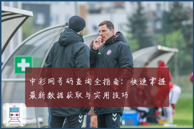 中彩网号码查询全指南：快速掌握最新数据获取与实用技巧