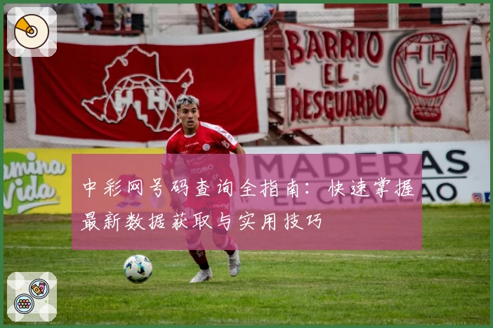 中彩网号码查询全指南：快速掌握最新数据获取与实用技巧