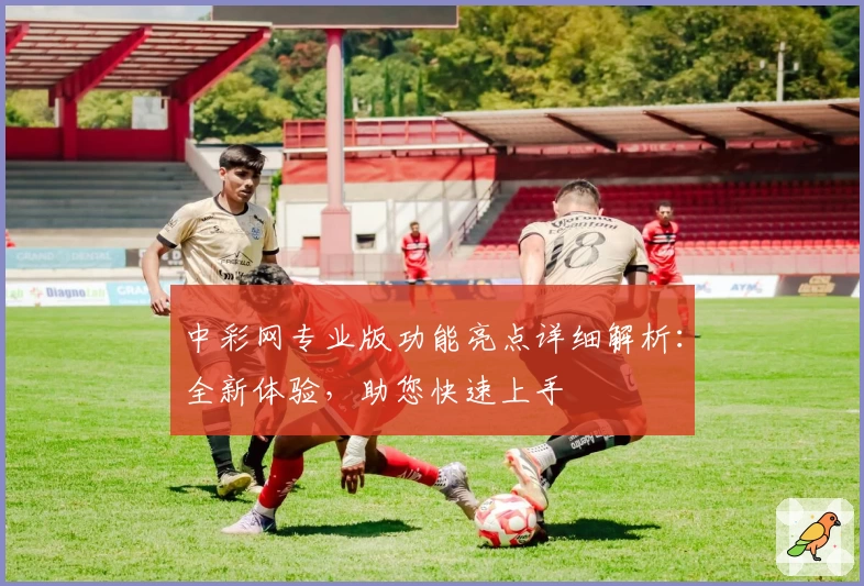 中彩网专业版功能亮点详细解析：全新体验，助您快速上手