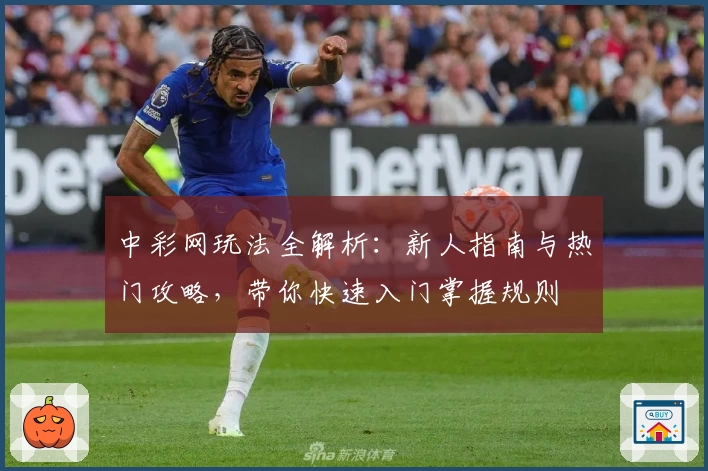 中彩网玩法全解析：新人指南与热门攻略，带你快速入门掌握规则