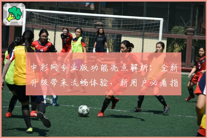 中彩网专业版功能亮点解析：全新升级带来流畅体验，新用户必看指南