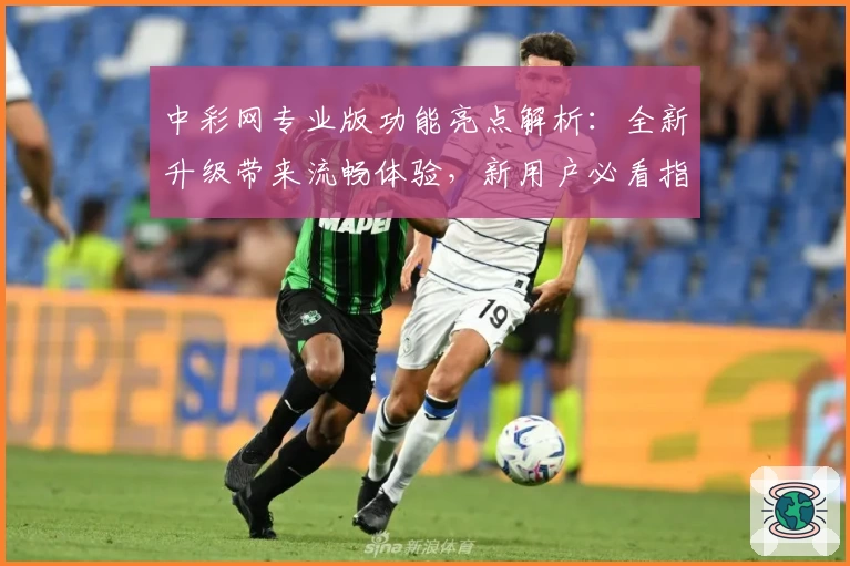中彩网专业版功能亮点解析:全新升级带来流畅体验,新用户必看指南