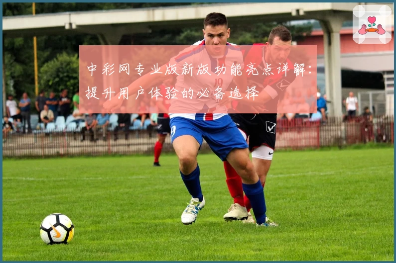 中彩网专业版新版功能亮点详解：提升用户体验的必备选择